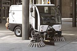 citycat 2020
